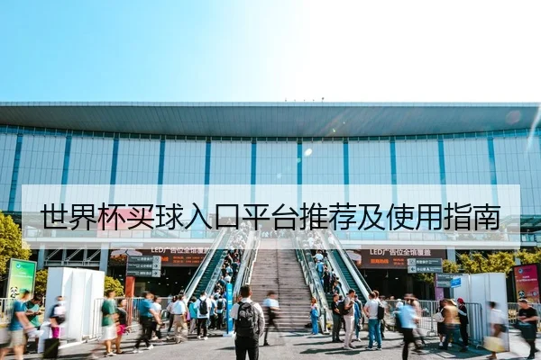 世界杯买球入口平台推荐及使用指南