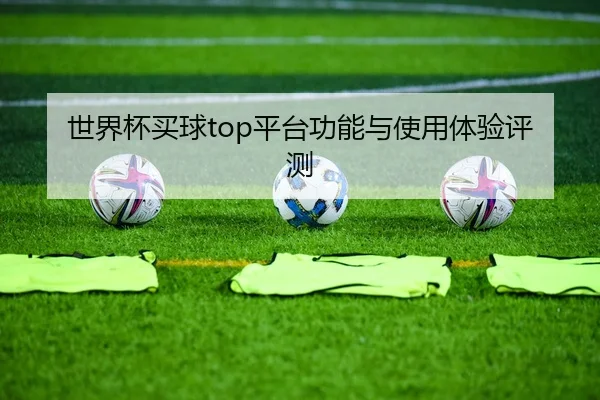 世界杯买球top平台功能与使用体验评测