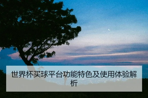 世界杯买球平台功能特色及使用体验解析