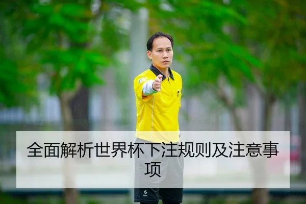 全面解析世界杯下注规则及注意事项