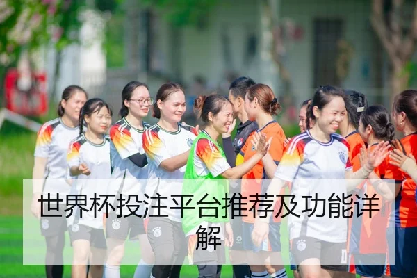 世界杯投注平台推荐及功能详解