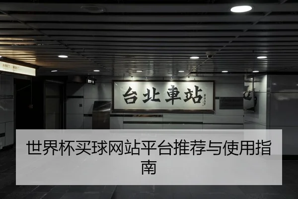 世界杯买球网站平台推荐与使用指南