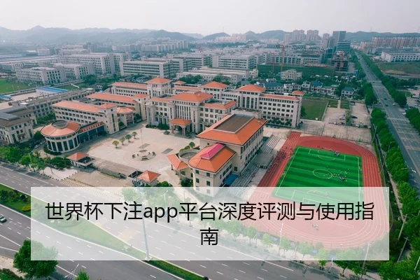 世界杯下注app平台深度评测与使用指南