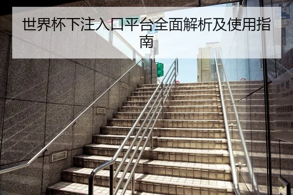世界杯下注入口平台全面解析及使用指南