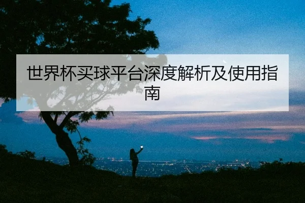 世界杯买球平台深度解析及使用指南