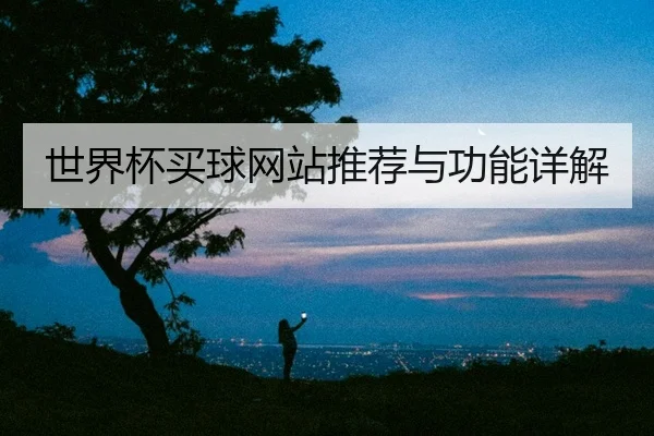 世界杯买球网站推荐与功能详解