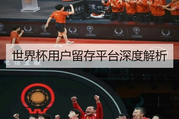 世界杯用户留存平台深度解析