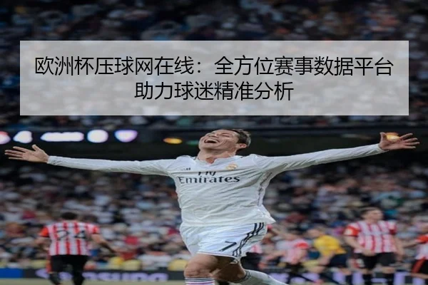 欧洲杯压球网在线：全方位赛事数据平台助力球迷精准分析